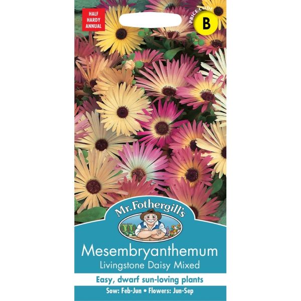 Mesembryanthemum Livingstone Daisy Mixed Seeds